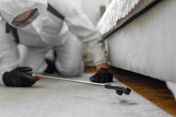 Professional Termite Control technician working in Racine, WI