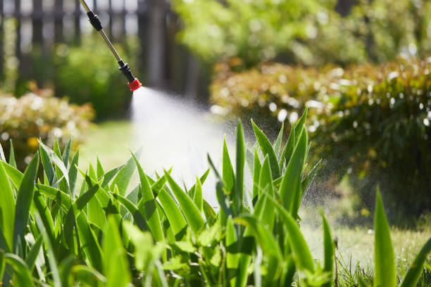 24/7 Emergency Termite Control experts in Racine, WI