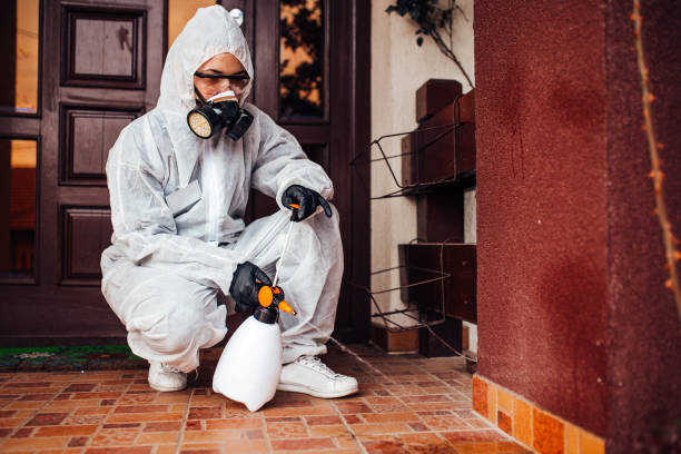 Reliable Termite Control contractor in Racine, WI by Nex Pest Control