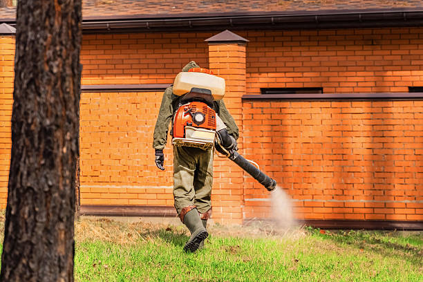Top rated local Termite Control specialists in Racine, WI